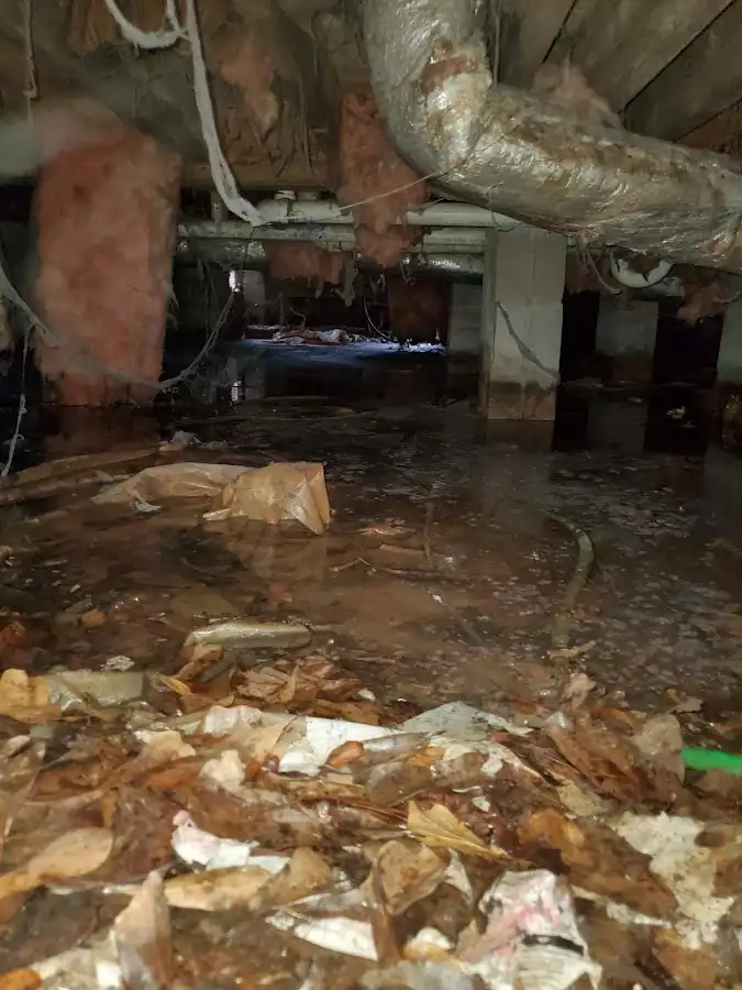 Crawl space flood assessment for Leak Detection & Repair in Seabrook